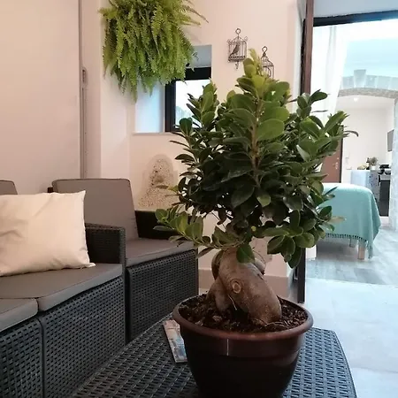 Apartamento Mastrangelo & Palermo