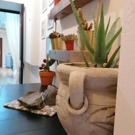 Mastrangelo & *