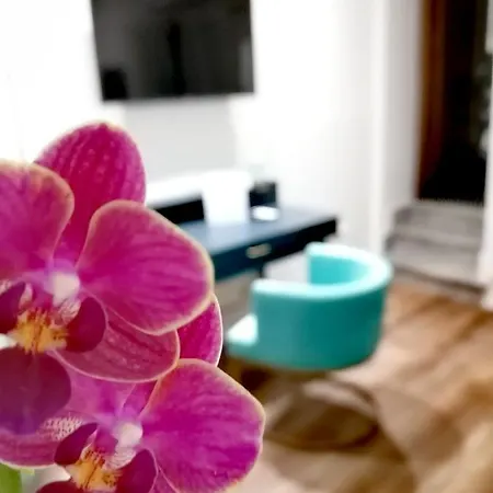 Apartamento Mastrangelo & Palermo